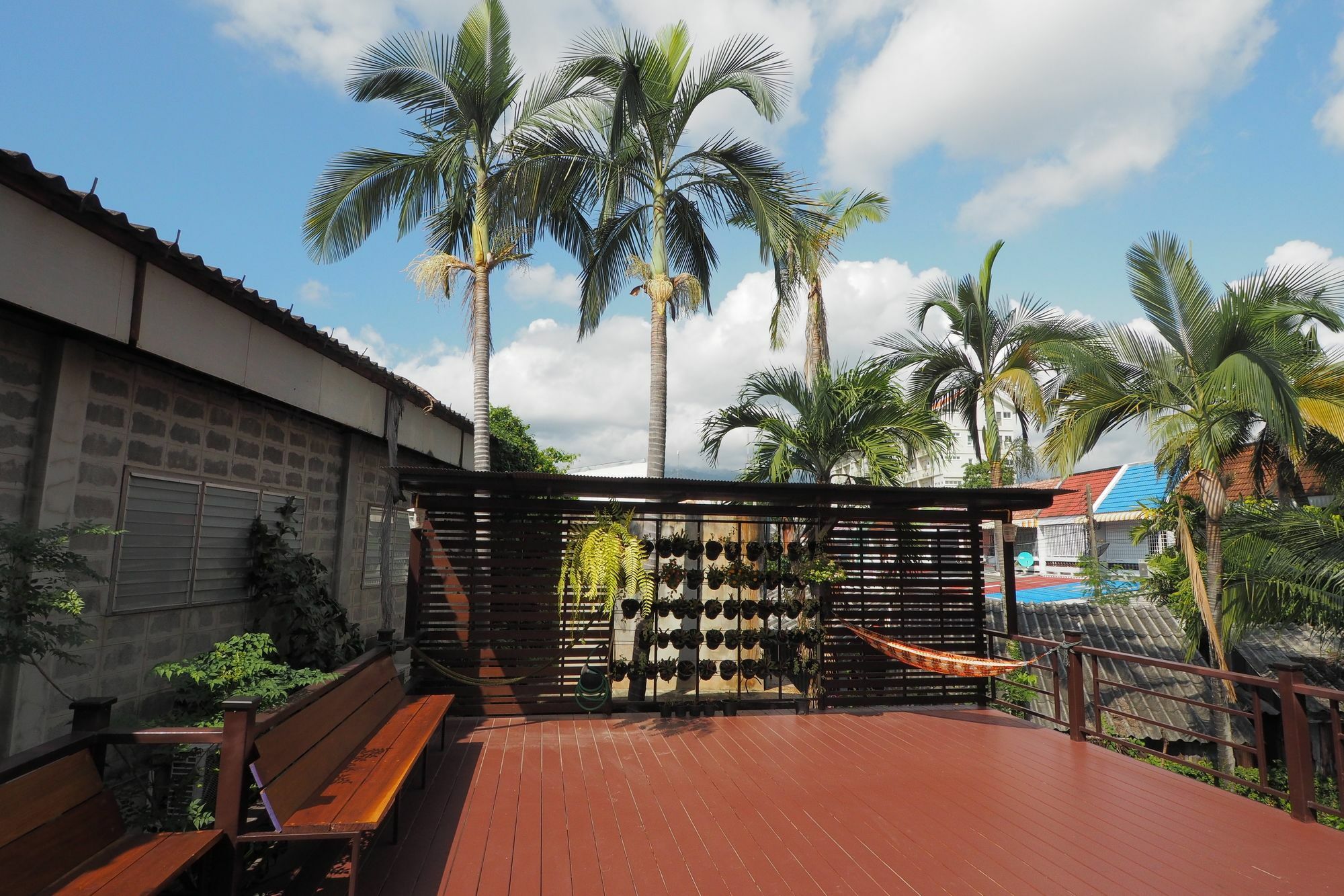 Just Sleep @Box Hostel Chiang Mai Buitenkant foto
